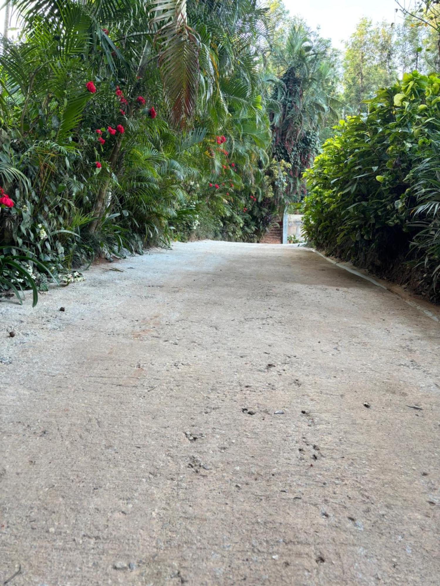 דירות Chikmagalūr Vintage Retreat 1970'S מראה חיצוני תמונה
